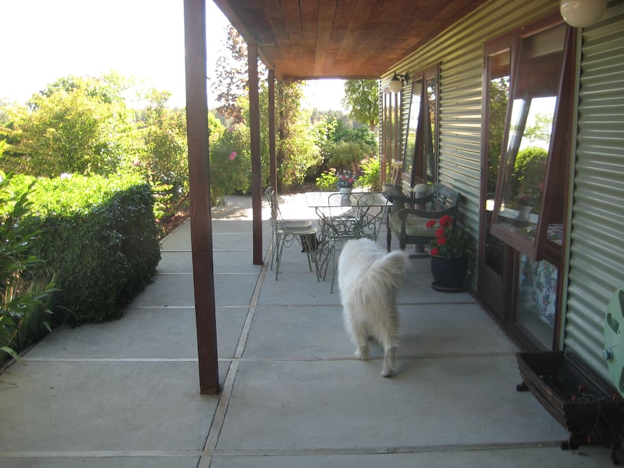 Two of the bedrooms have access to this verandah, so does Mazzy