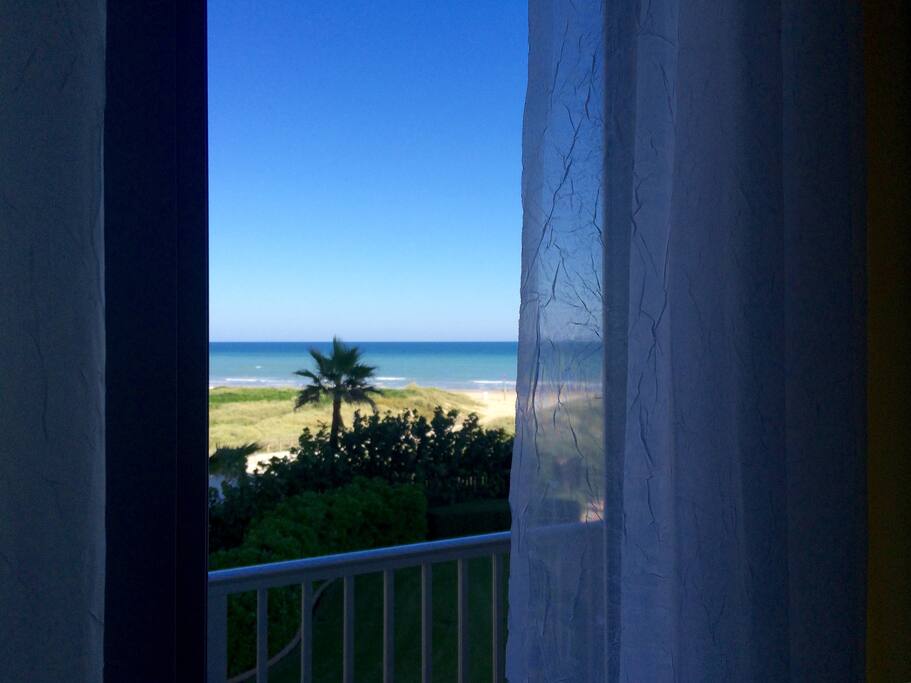 Looking out the living room door.