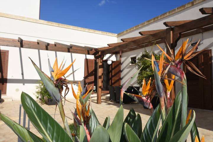 Masseria Giulio – Large Stable Complex Sleeps 18 gallery image 4