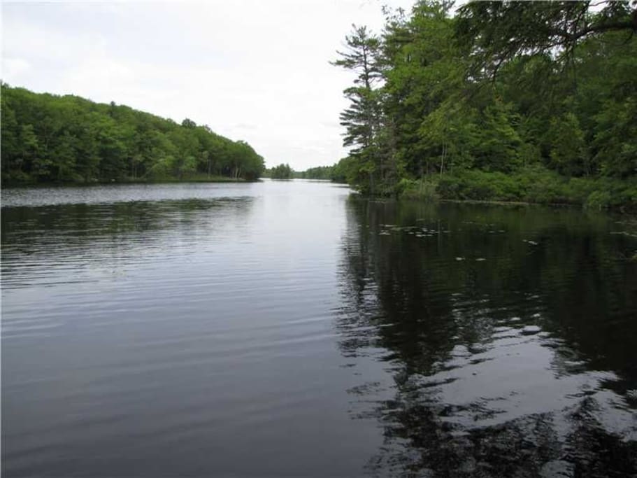 Tranquil waters.