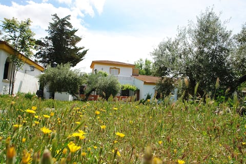 CampoParaíso: Large house, plot and private pool