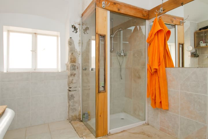 1 minute walk from Rossetti Theatre