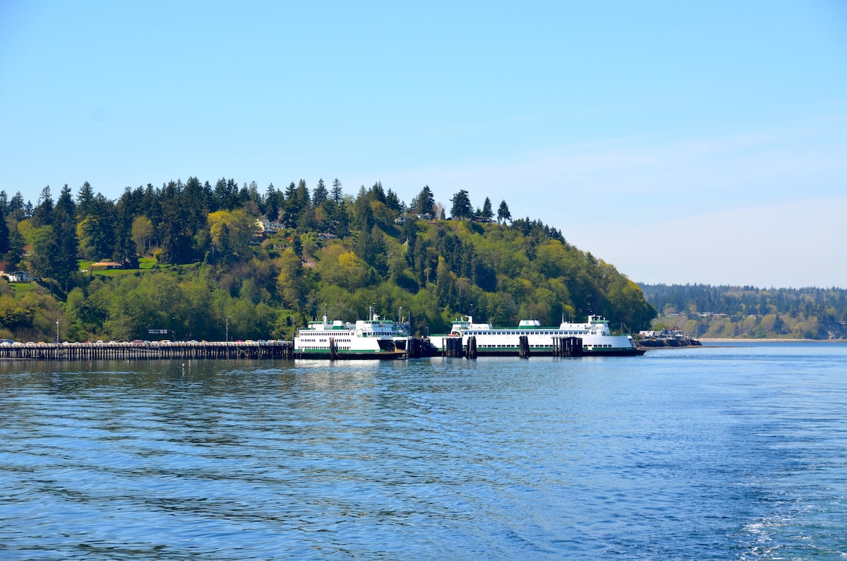 Two ferries are docked at a terminal, surrounded by lush green hills and trees. The still water reflects the vibrant blue sky, creating a serene coastal scene. The terminal structure extends along the shoreline, providing access to the expansive landscape.
