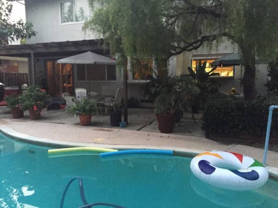 Our pool, covered patio and where we BBQ!