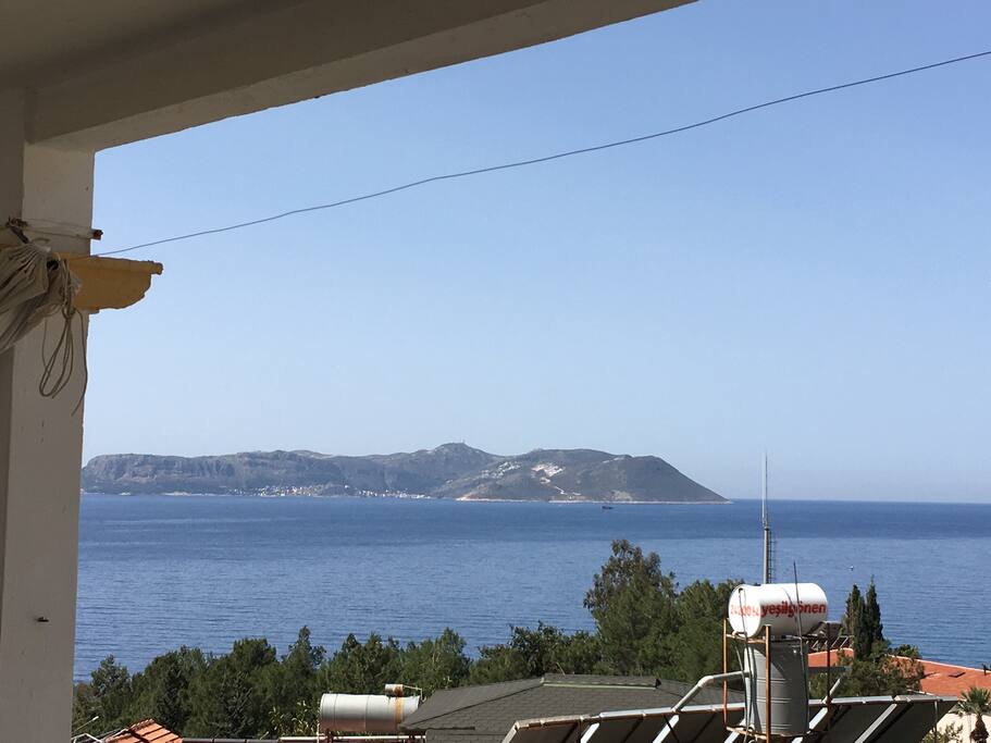 View