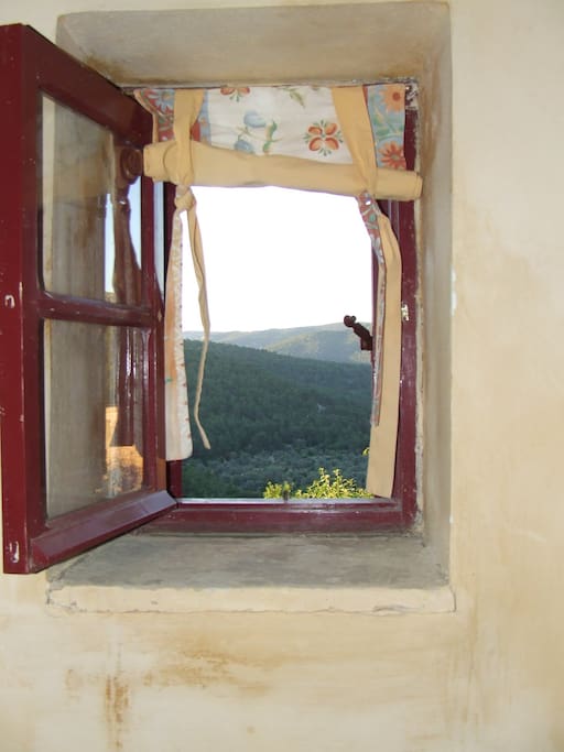 Θέα στο δάσος - Forest view