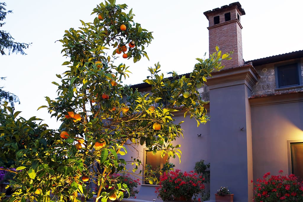villa
