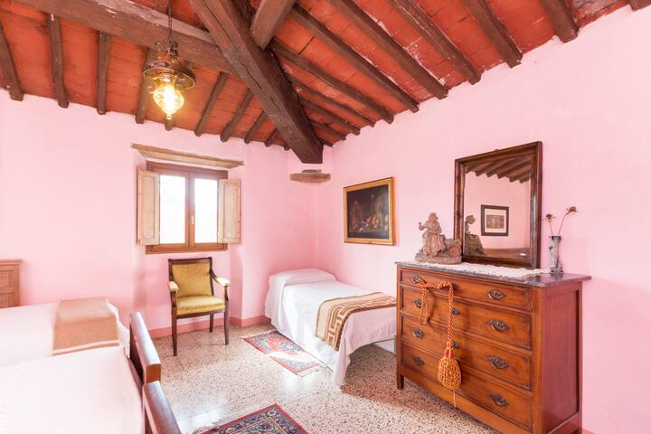 Alle Canicce
