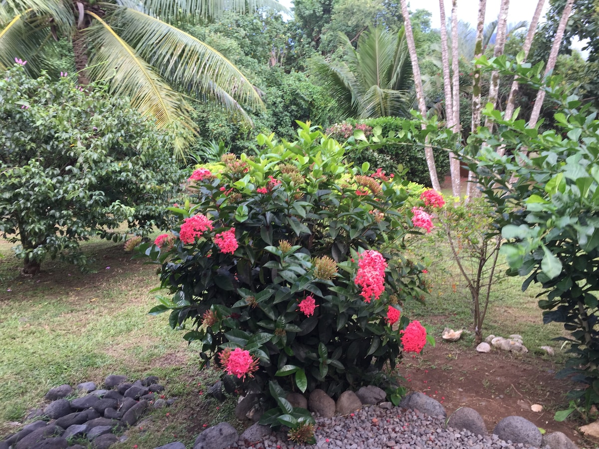 A lush garden area is observed, featuring a vibrant bush with pink flowers in full bloom. Surrounding greenery includes palm trees and other foliage, creating a natural setting. A border of smooth stones outlines the garden space, contributing to the serene environment.