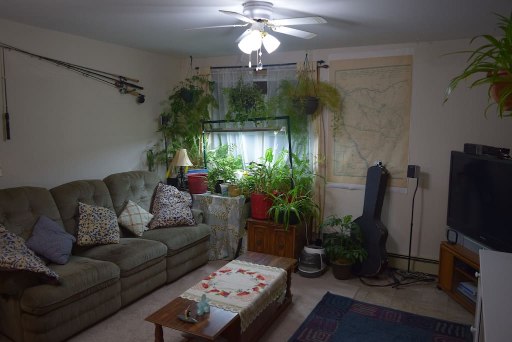 Living room corner