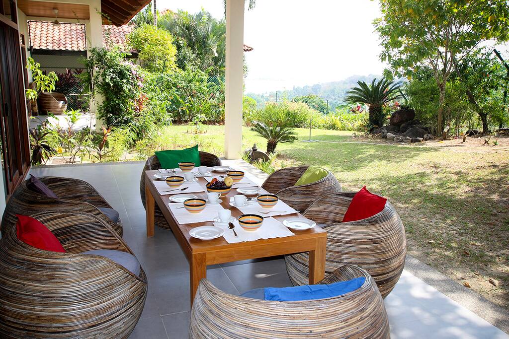 Hibiscus Veranda and garden