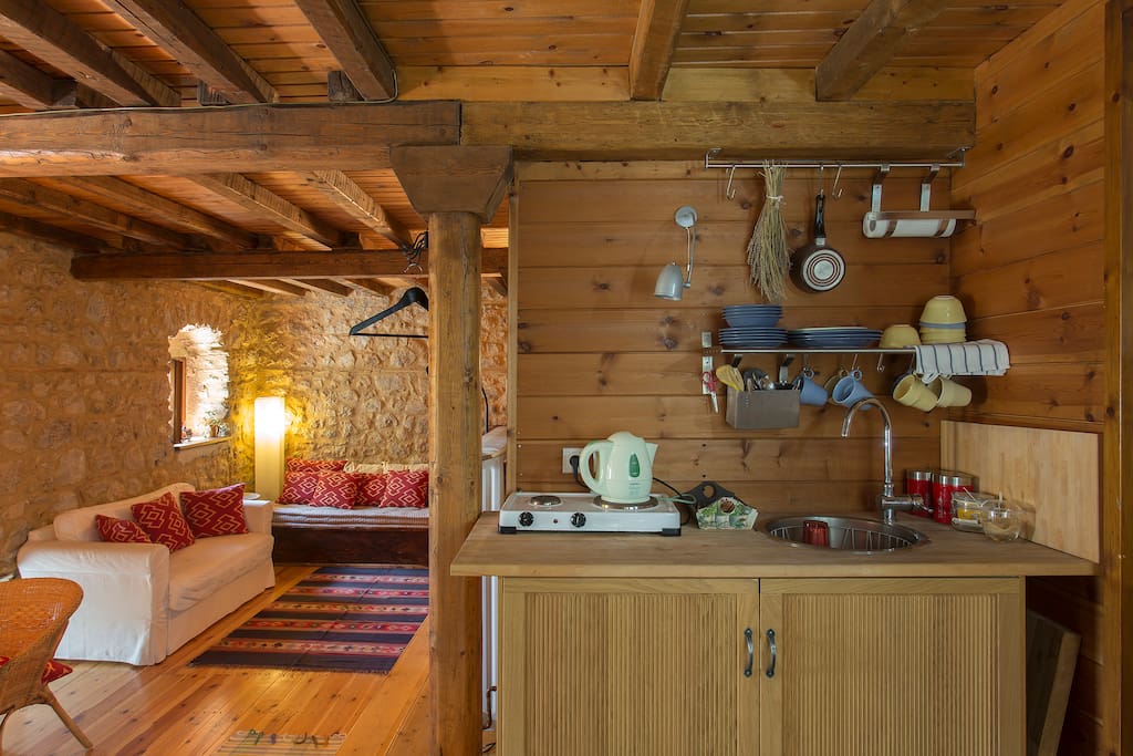 Kitchenette and Living area
