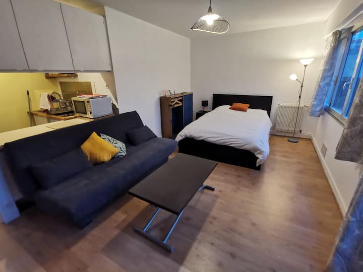 Grand Studio in Paris 20, metro Jourdain Apartments for Rent in Paris