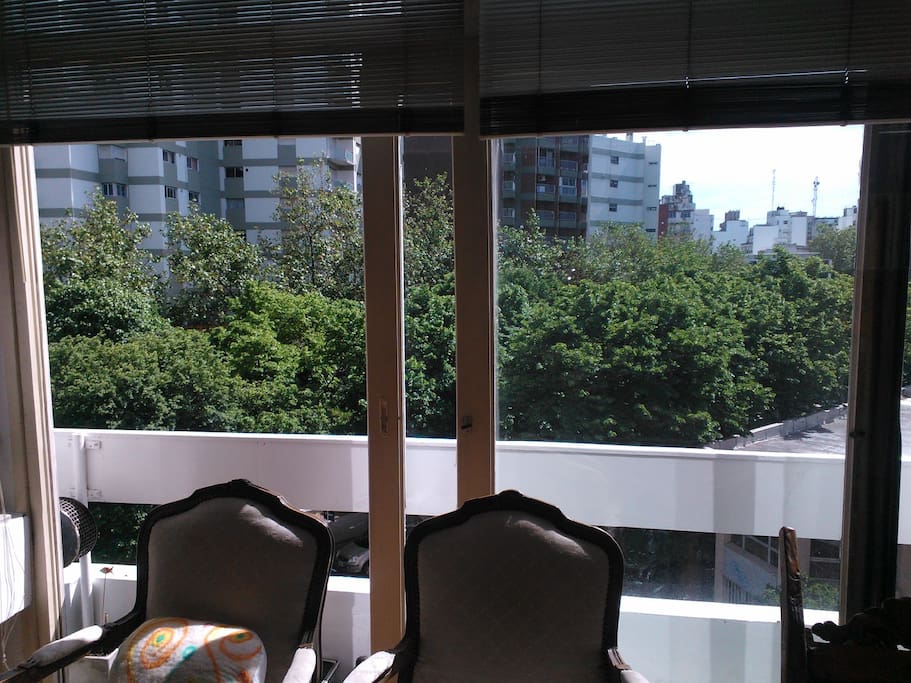 vista a la diagonal de los tilos