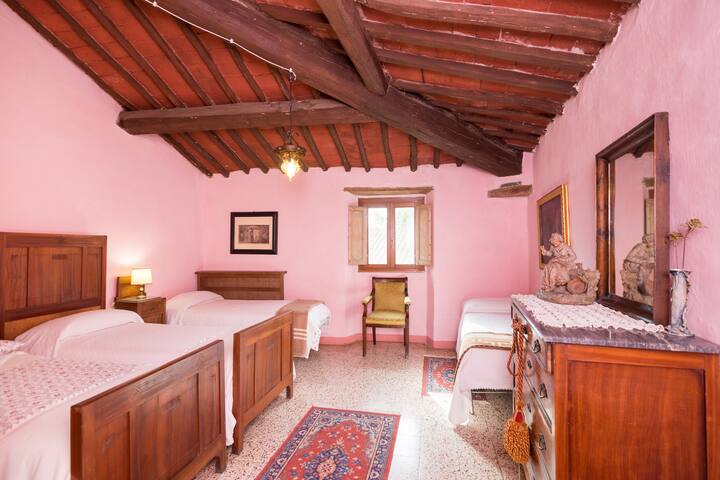 Alle Canicce
