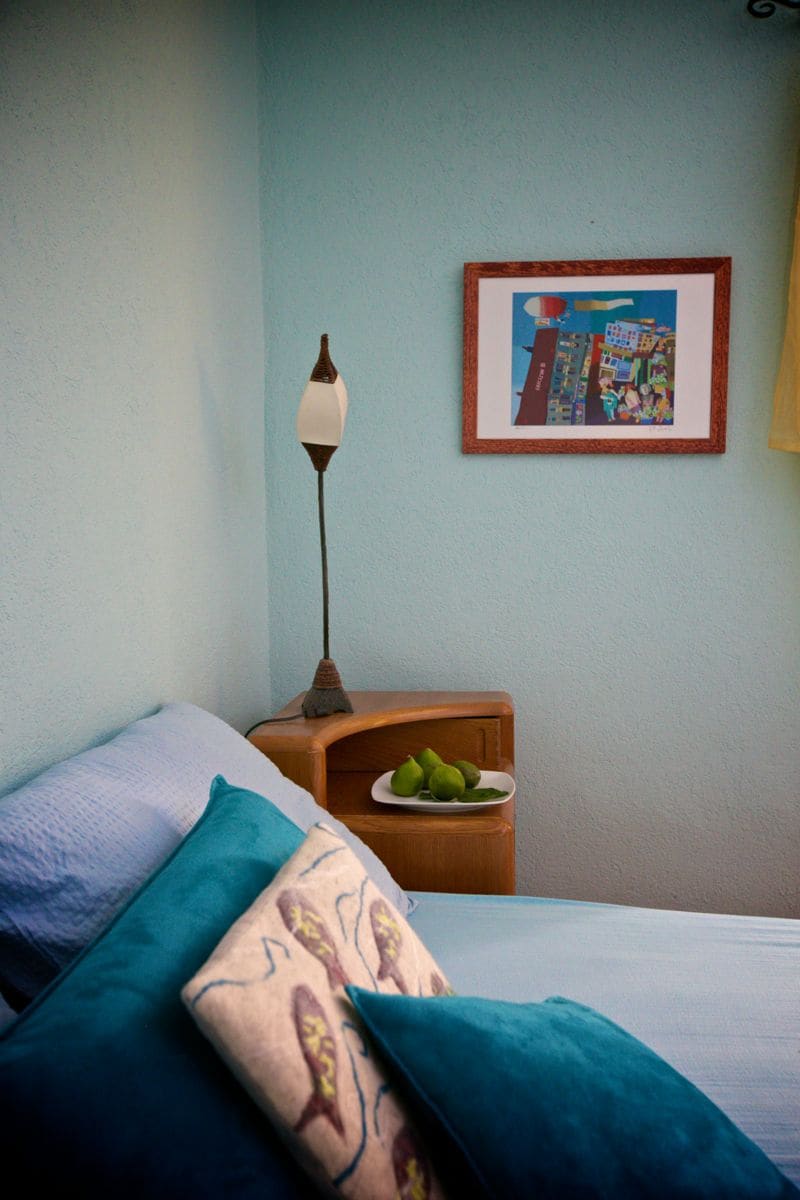 В градината има смокини. Смокините са узрели в края на август и септември.