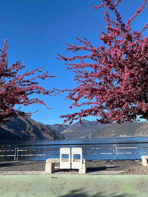 Lovely apartment within walking distance of the lake