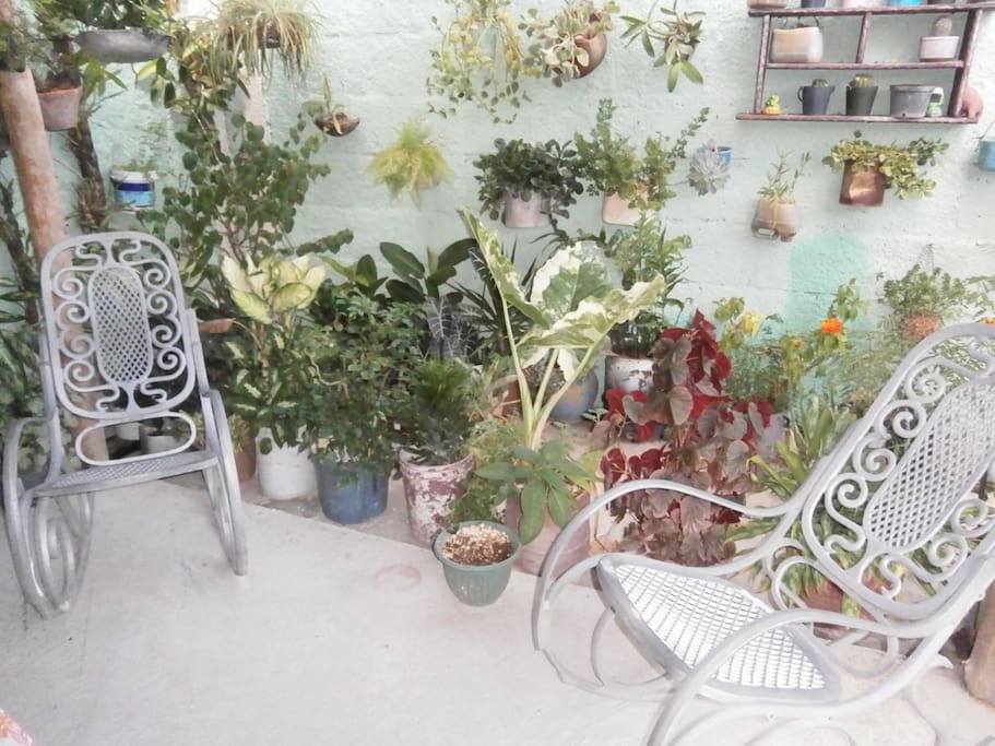 Terraza