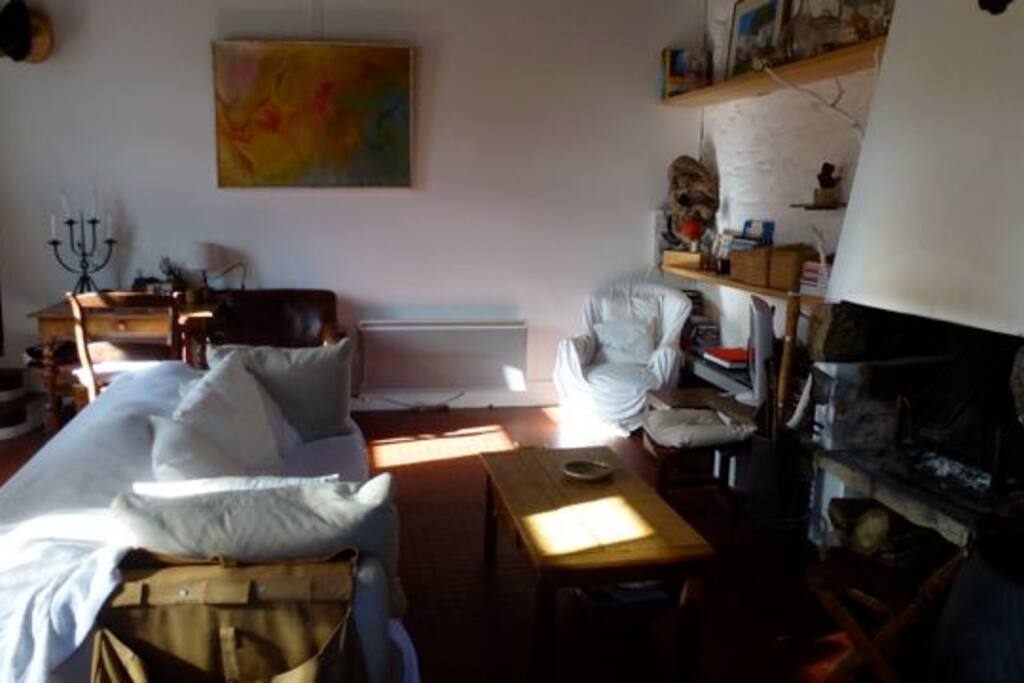 Living avec cheminée