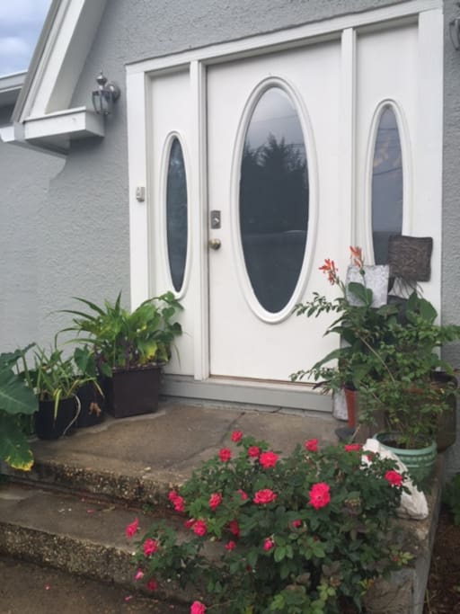 Come visit us at Birdhouse Guesthouse!