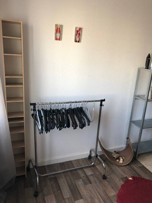 Guest room - hangers