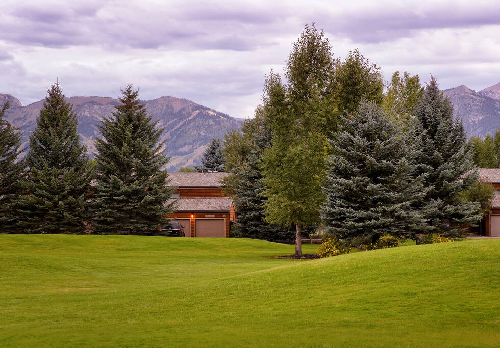 Large grass play area.