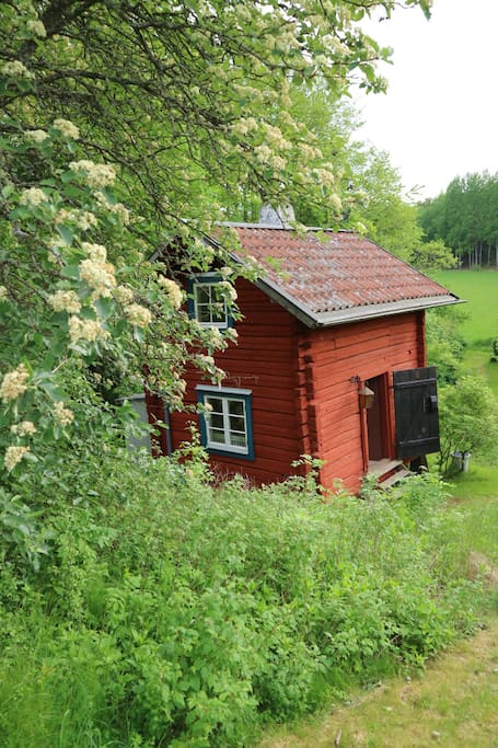 The cottage