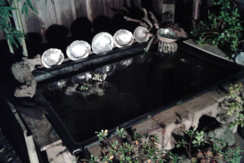 koi pond