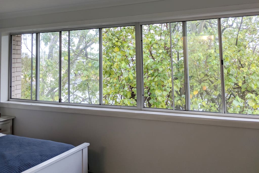Big room wide window for a brilliant river view.
