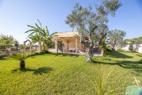 VILLA IMMERSED IN OLIVE GROVE