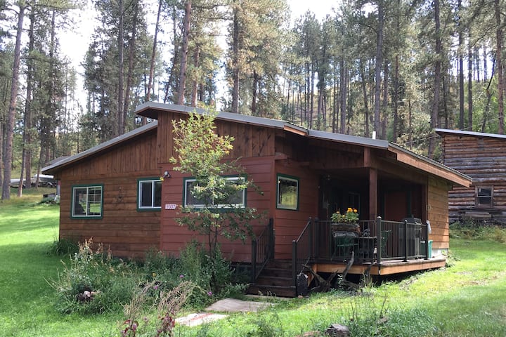 Peaceful Silver City cabin getaway