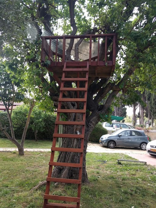 Tree House