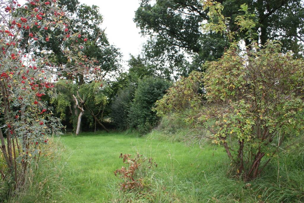 View of the front garden from the outside terrace