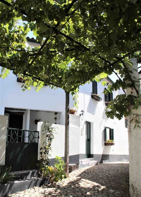 Top performing Airbnb: Beatriz House in Leiria