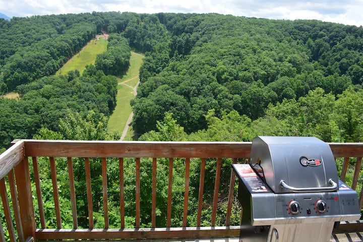 Cabin w/ Top of world view of Smokie mtns & park
