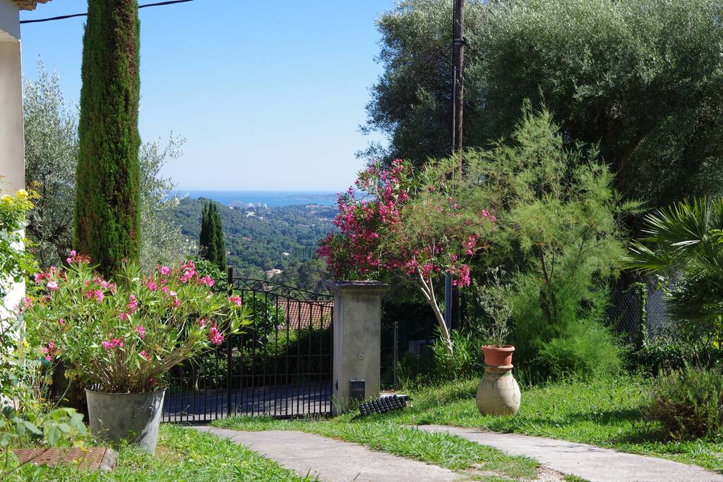 view from the guest house