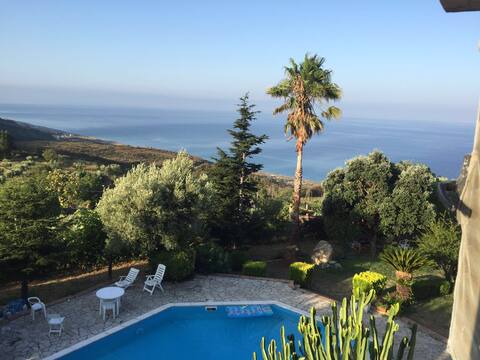 Villa Letizia_ private pool sorrunded by greenery