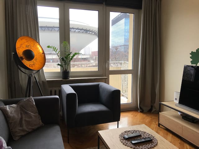 Spacious apartment in the center of the city