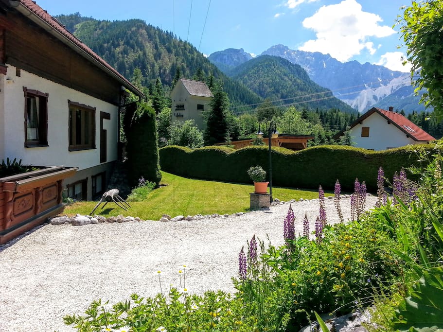 View of our driveway in summer