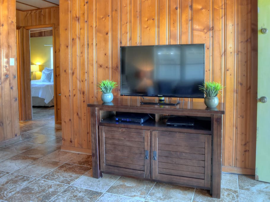 Flat Screen TV in Living Room