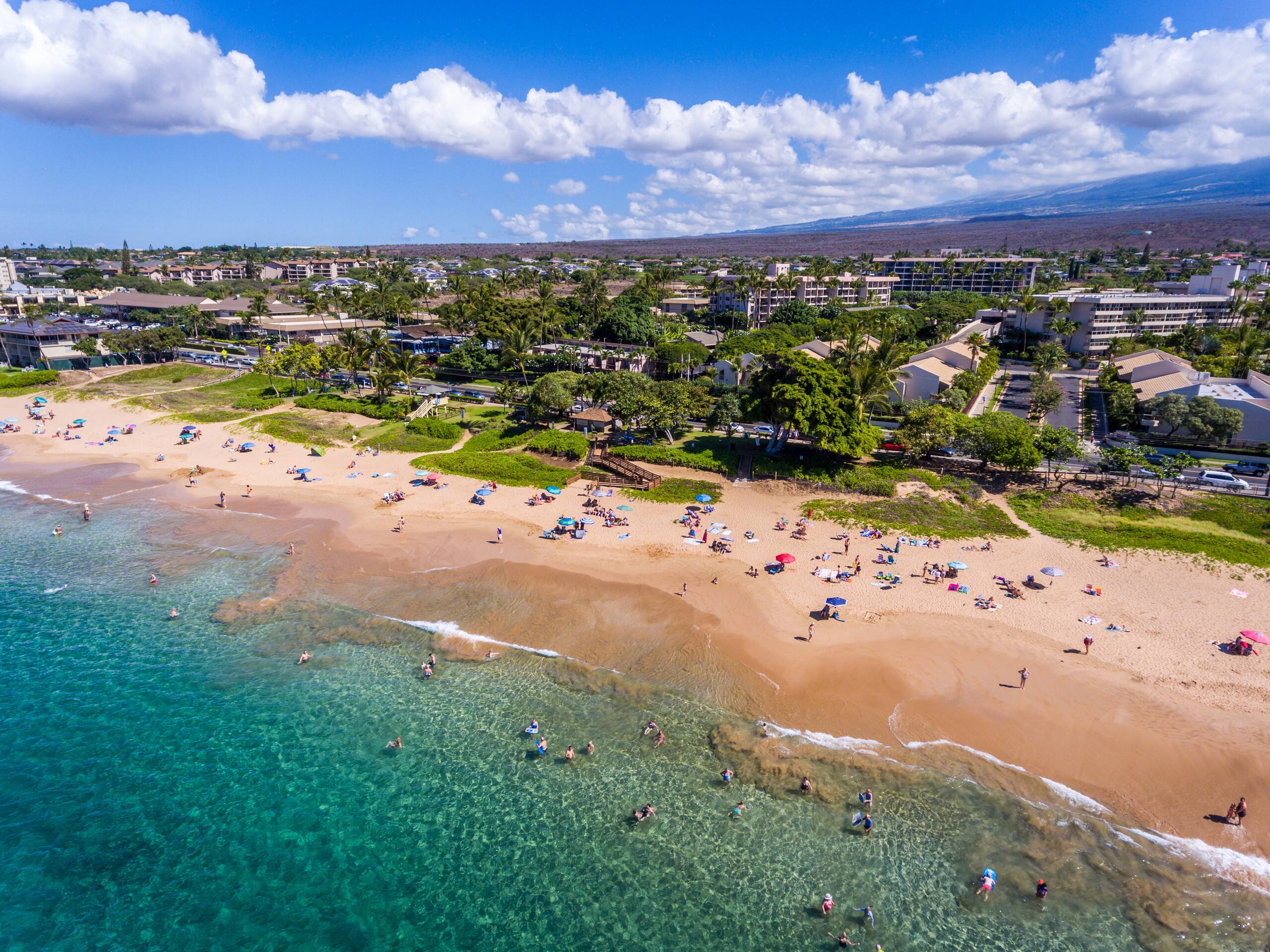 Condo in Kihei · ★4.9 · 1 bedroom · 1 bed · 1 bath - Image 39