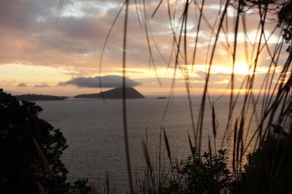 Coromandel Town BayView Experience Houses for Rent in Coromandel