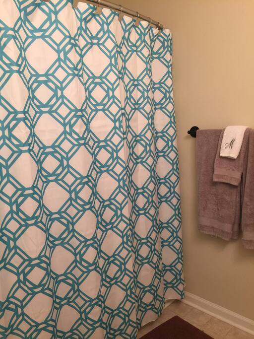 Guest bathroom