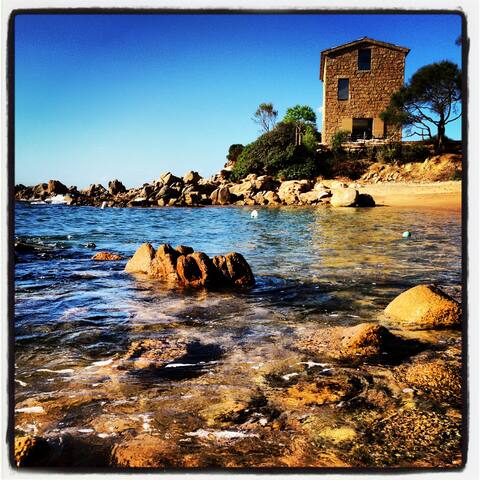 Sublime waterfront SHEEPFOLD