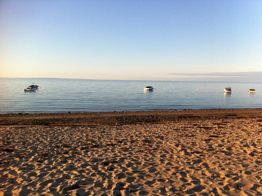 beach pic