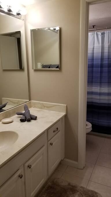 Bathroom 1 - Door separates shower area from vanity area.