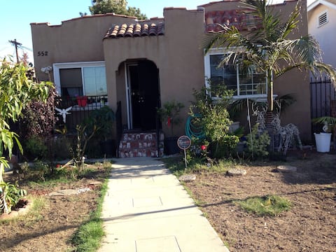 casa con mini árbol de mango plant