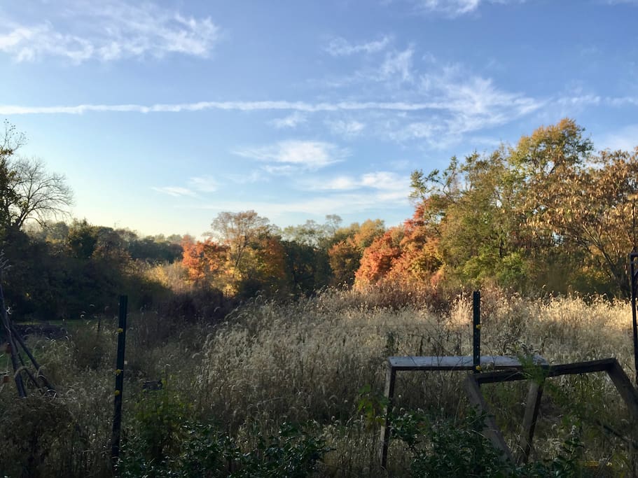 Some of our acreage