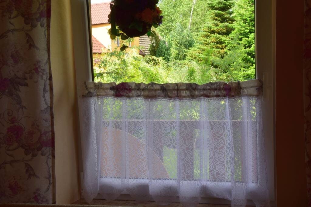 Widok z okna na parterze