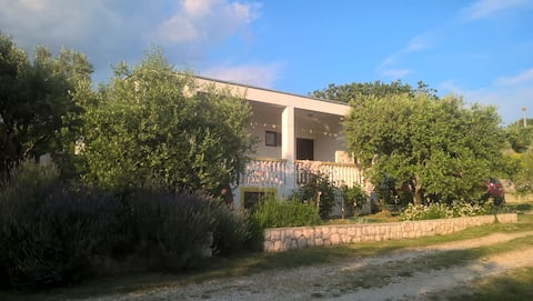 Apartman for rent, Rtina Zadar